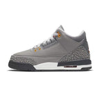 Air Jordan 3 'Cool Grey'