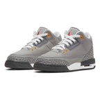 Air Jordan 3 'Cool Grey'