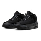 Air Jordan 3 'Black Cat'