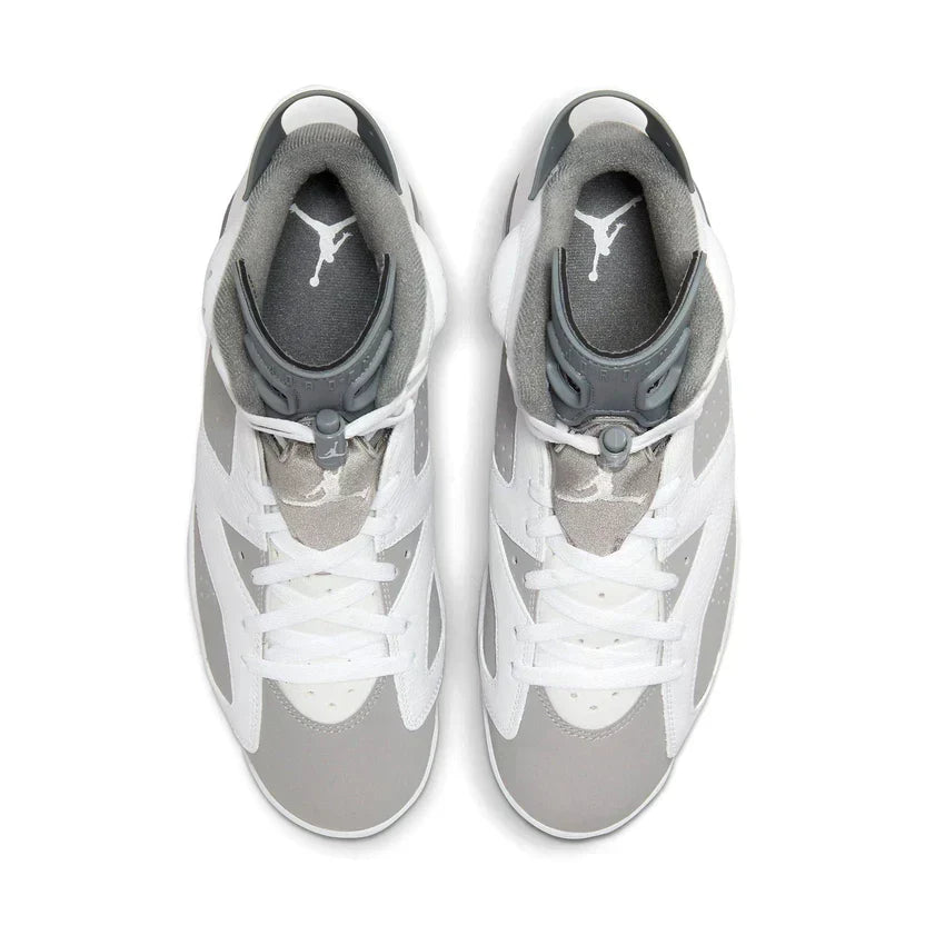 Air Jordan 6 'Cool Grey'