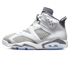 Air Jordan 6 'Cool Grey'